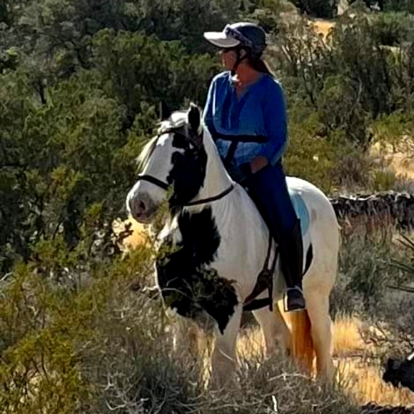 A variety of clothing, shoes and interesting treasures! - Picture 1 of 1